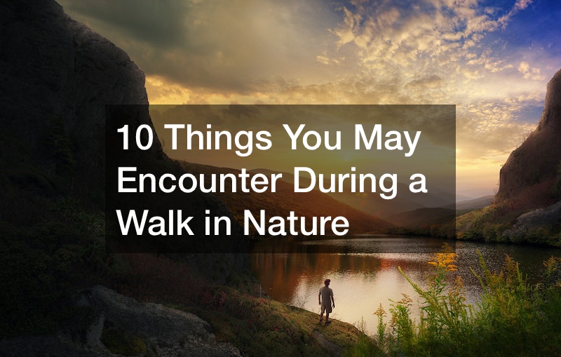10 Things You May Encounter During a Walk in Nature